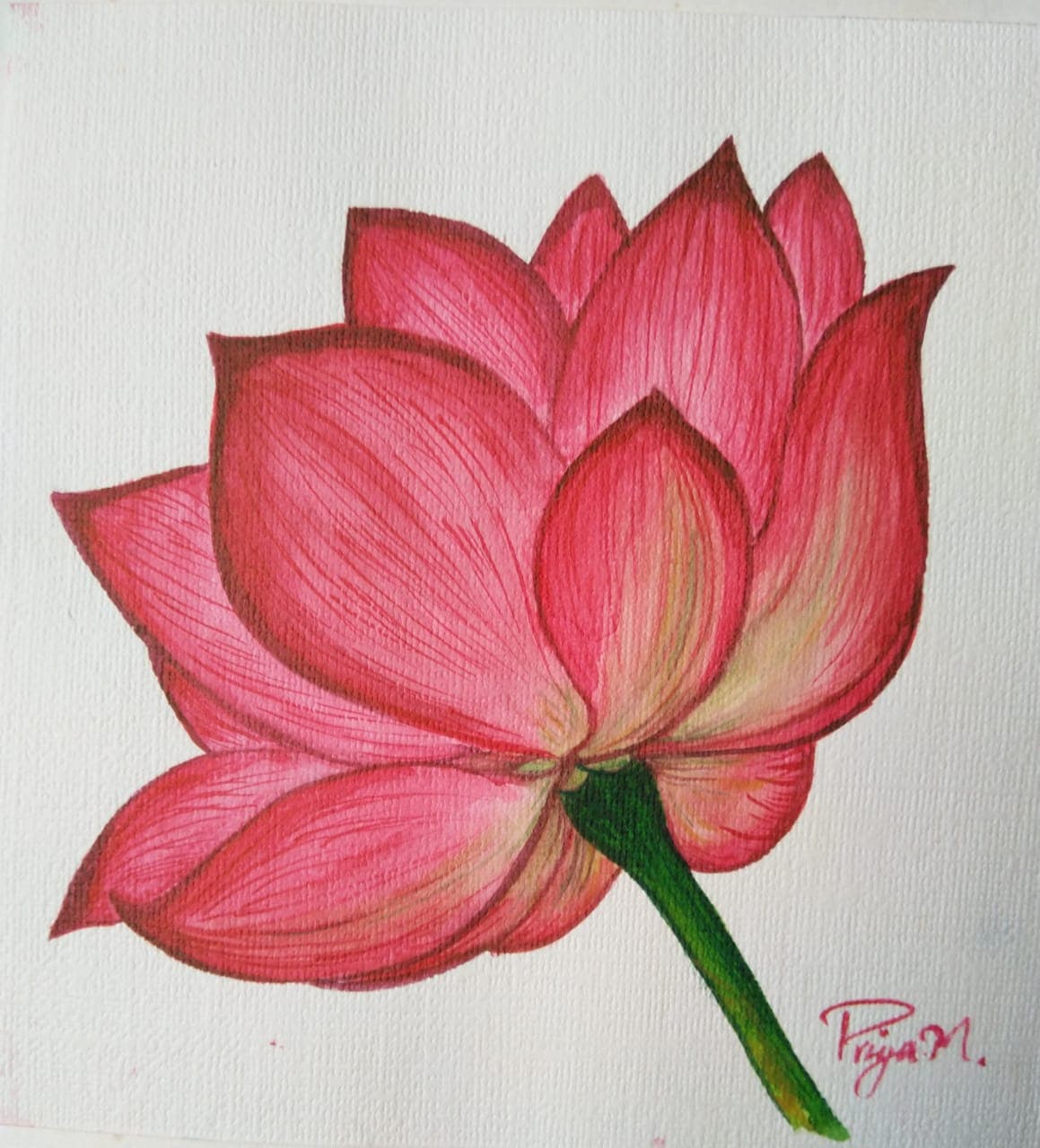Greeting Card P14